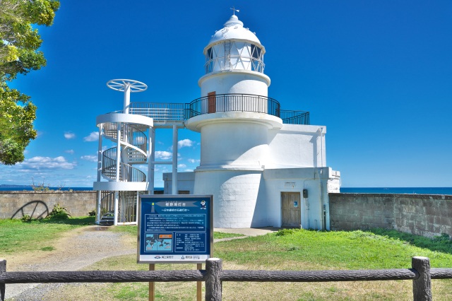 樫野埼燈塔（水仙）