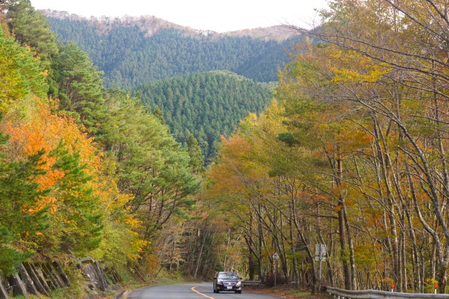 Koya-Ryujin Skyline Road