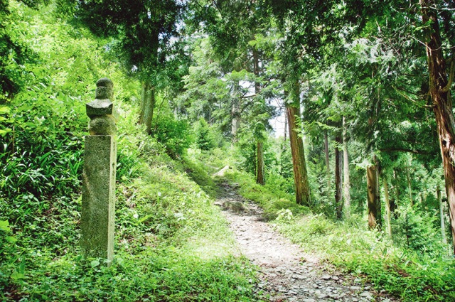Koyasan Choishimichi Pilgrimage Route