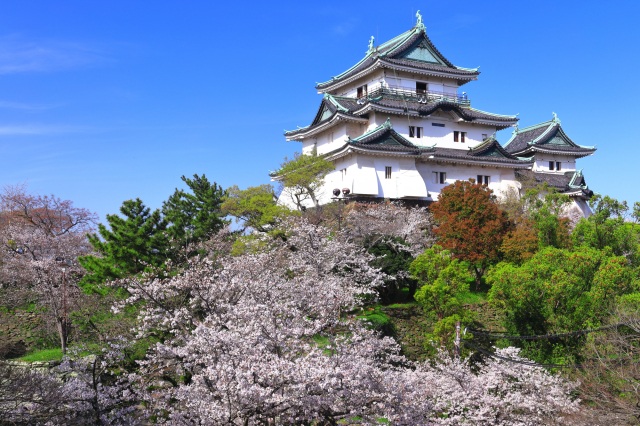 Wakayama Castle