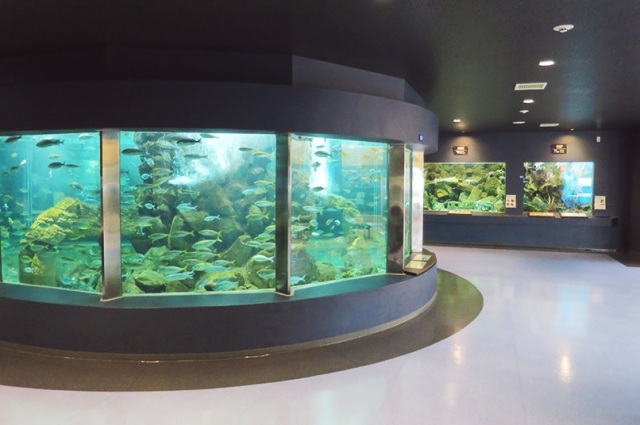 Kyoto University Shirahama Aquarium