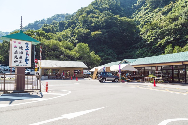 Negoro Sakura-no-Sato Roadside Station
