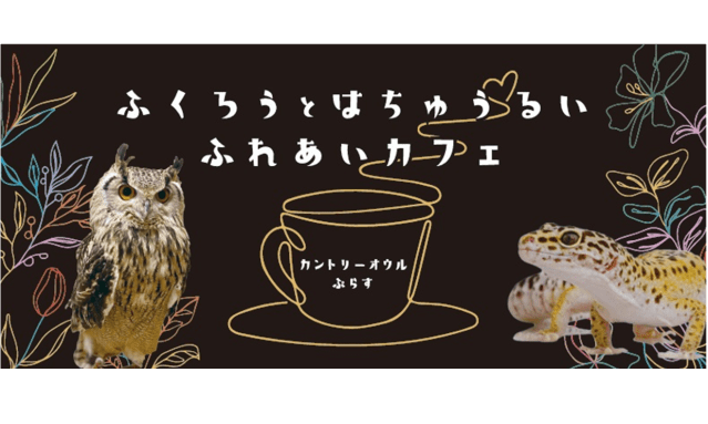 A Cafe Where You Can Interact with Insects ＆ Owl （Countr…