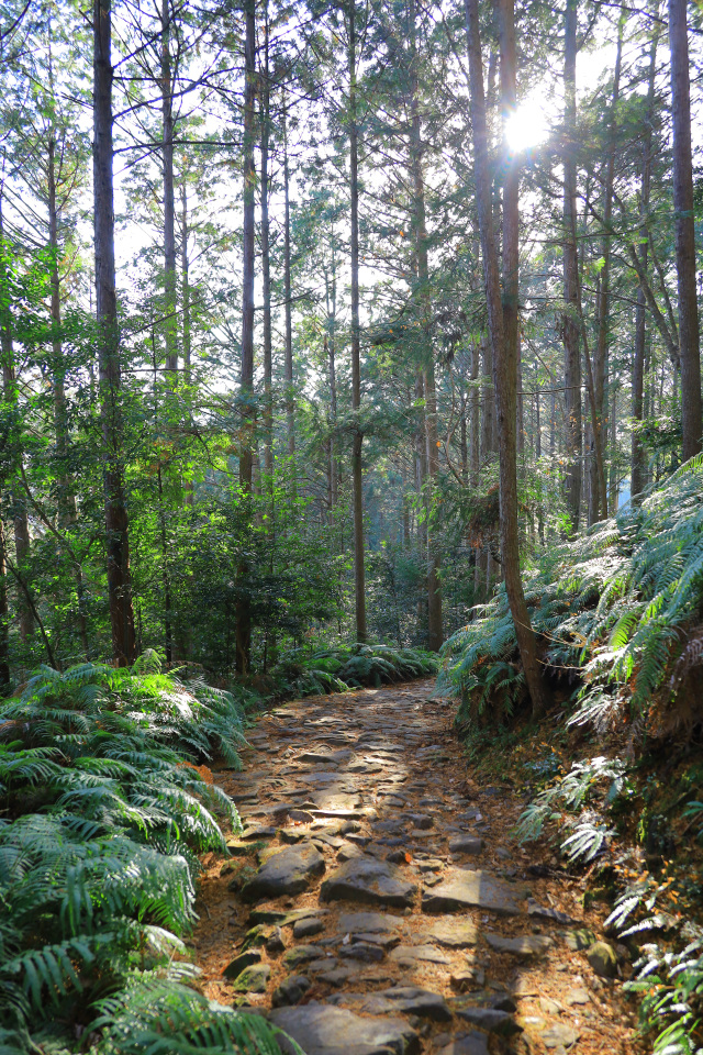 Kumano Kodo route change notice